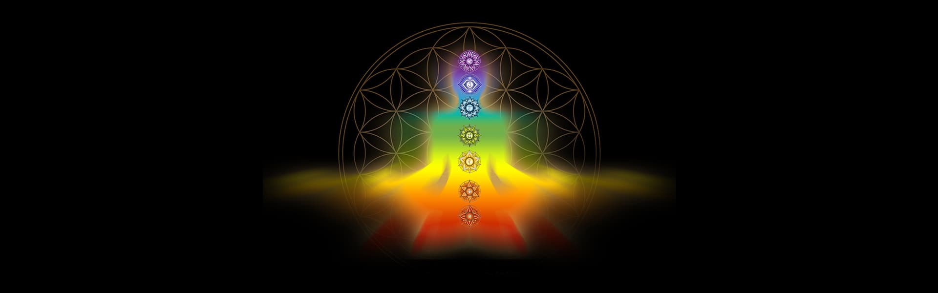 The 7 Chakras