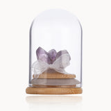 Wisdom Expansion: Amethyst Crystal Cluster